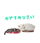 コトのおちり2（個別スタンプ：13）
