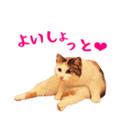 コトのおちり2（個別スタンプ：16）