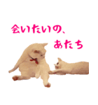 コトのおちり2（個別スタンプ：17）