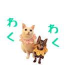 コトのおちり2（個別スタンプ：19）