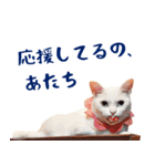 コトのおちり2（個別スタンプ：21）