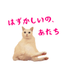 コトのおちり2（個別スタンプ：23）