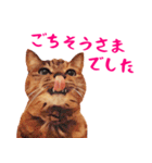 コトのおちり2（個別スタンプ：24）