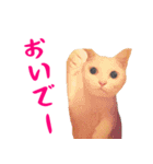 コトのおちり2（個別スタンプ：25）