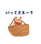 コトのおちり2（個別スタンプ：26）
