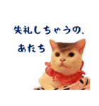 コトのおちり2（個別スタンプ：33）