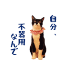 コトのおちり2（個別スタンプ：34）