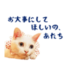 コトのおちり2（個別スタンプ：35）