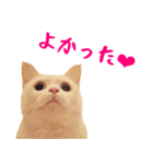 コトのおちり2（個別スタンプ：36）