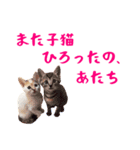 コトのおちり2（個別スタンプ：37）