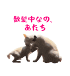 コトのおちり2（個別スタンプ：40）