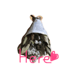 Likes Like（個別スタンプ：2）