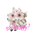Likes Like（個別スタンプ：4）