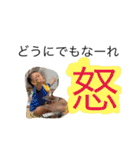 tanukids 3（個別スタンプ：14）