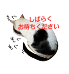 ふわわとわた（個別スタンプ：14）