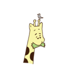 キリンちゃんとウシツツキ（個別スタンプ：1）