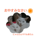 にゃんたん家族大好き（個別スタンプ：2）