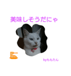 にゃんたん家族大好き（個別スタンプ：4）