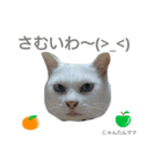 にゃんたん家族大好き（個別スタンプ：9）