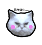 Maomaojian life（個別スタンプ：6）