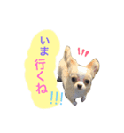 くーまろぷー（個別スタンプ：4）