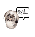 Dog have feeling（個別スタンプ：1）