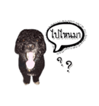 Dog have feeling（個別スタンプ：2）
