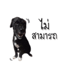 Dog have feeling（個別スタンプ：4）