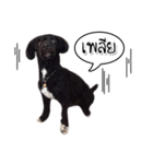 Dog have feeling（個別スタンプ：5）