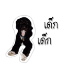 Dog have feeling（個別スタンプ：6）