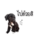 Dog have feeling（個別スタンプ：7）
