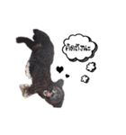 Dog have feeling（個別スタンプ：8）