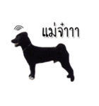Dog have feeling（個別スタンプ：10）