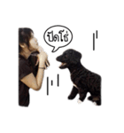 Dog have feeling（個別スタンプ：14）