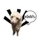Dog have feeling（個別スタンプ：16）