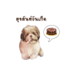 Tang~Tang cute dog（個別スタンプ：1）