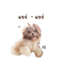 Tang~Tang cute dog（個別スタンプ：7）