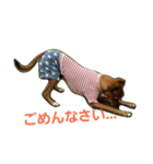 kaijukenta（個別スタンプ：5）