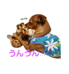 kaijukenta（個別スタンプ：8）