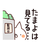 【たまよ】専用（個別スタンプ：23）