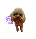 MiCo MiCO（個別スタンプ：2）