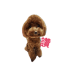 MiCo MiCO（個別スタンプ：3）