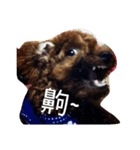 MiCo MiCO（個別スタンプ：8）