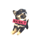 きゅろろの日常♬（個別スタンプ：7）