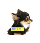 きゅろろの日常♬（個別スタンプ：15）