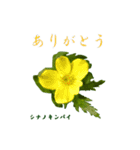 花を添えて 3（個別スタンプ：7）