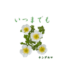 花を添えて 3（個別スタンプ：11）