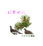花を添えて 3（個別スタンプ：13）