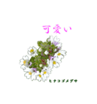 花を添えて 3（個別スタンプ：17）
