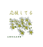 花を添えて 3（個別スタンプ：19）
